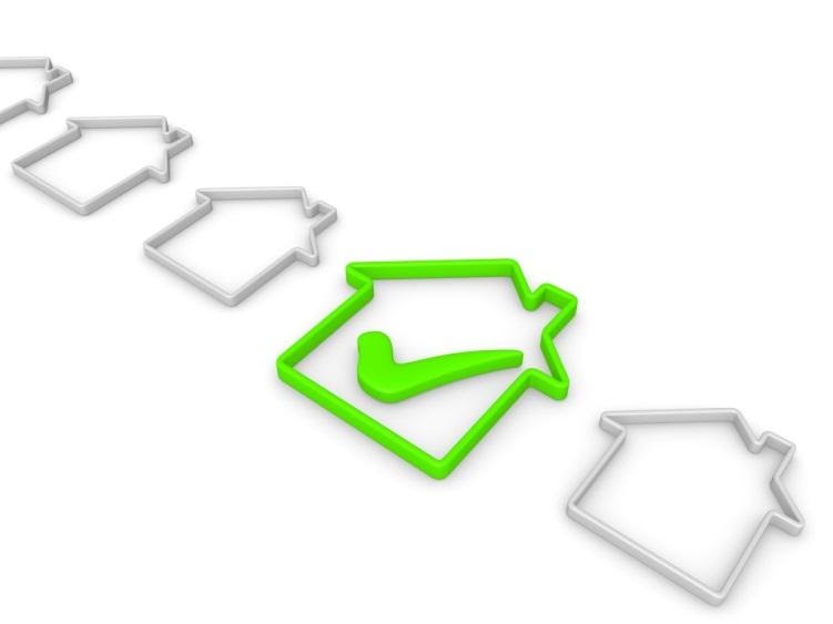 Best Option for Flippers