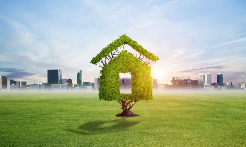 green home features