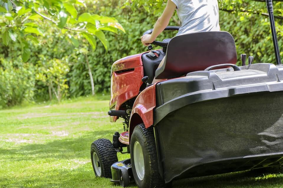 Things to check when hiring a lawn care professional